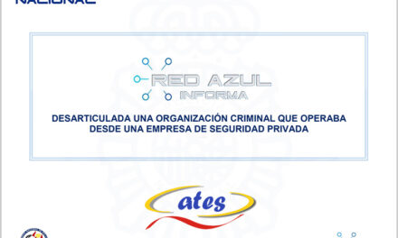 Desarticulada una organización criminal